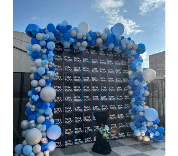 Skyline Balloon Frame