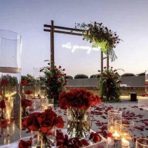 The Scarlet Vow